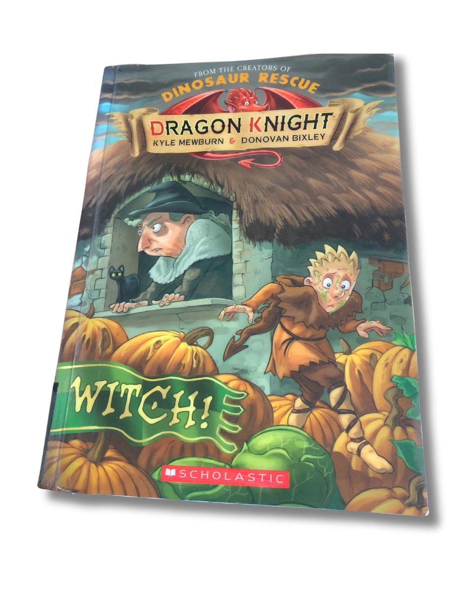 Dragon Knight Series by Kyle Mewburn and Donovan Bixley – Learning ...