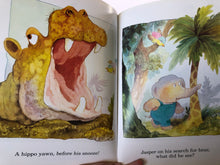 Load image into Gallery viewer, Jasper's Jungle Journey - Val Biro