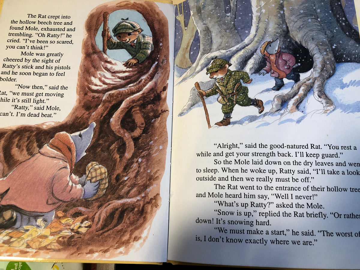 The Wind in The Willows - The Wild Wood – Learning Differently NZ