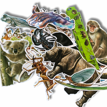 Load image into Gallery viewer, 50+ Pre Cut Pictures - Animals