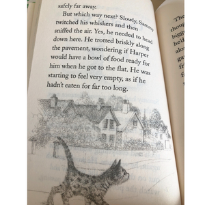 The Homesick Kitten Inside