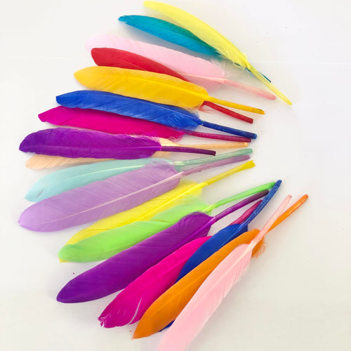 Rainbow Feathers Mix - 20pces