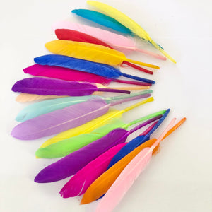 Rainbow Feathers Mix - 20pces