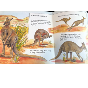 Animals Of Australia - First Flaps, First Facts - Teresa O'Brien