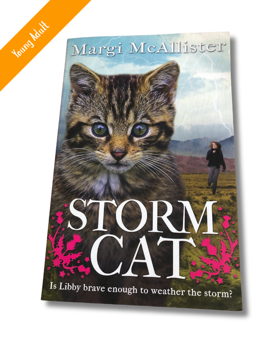 Storm Cat by Margi Mc Allister