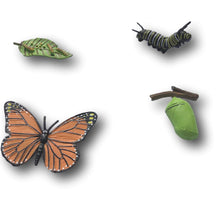 Load image into Gallery viewer, Monarch Butterfly Life Cycle Figures Set