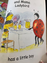 Load image into Gallery viewer, Buddy Bee and the Ladybirds - Edna Mugford