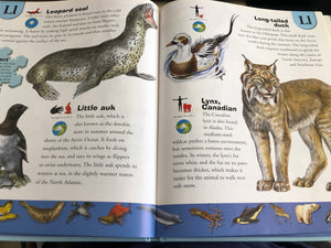 Polar Animals Dictionary