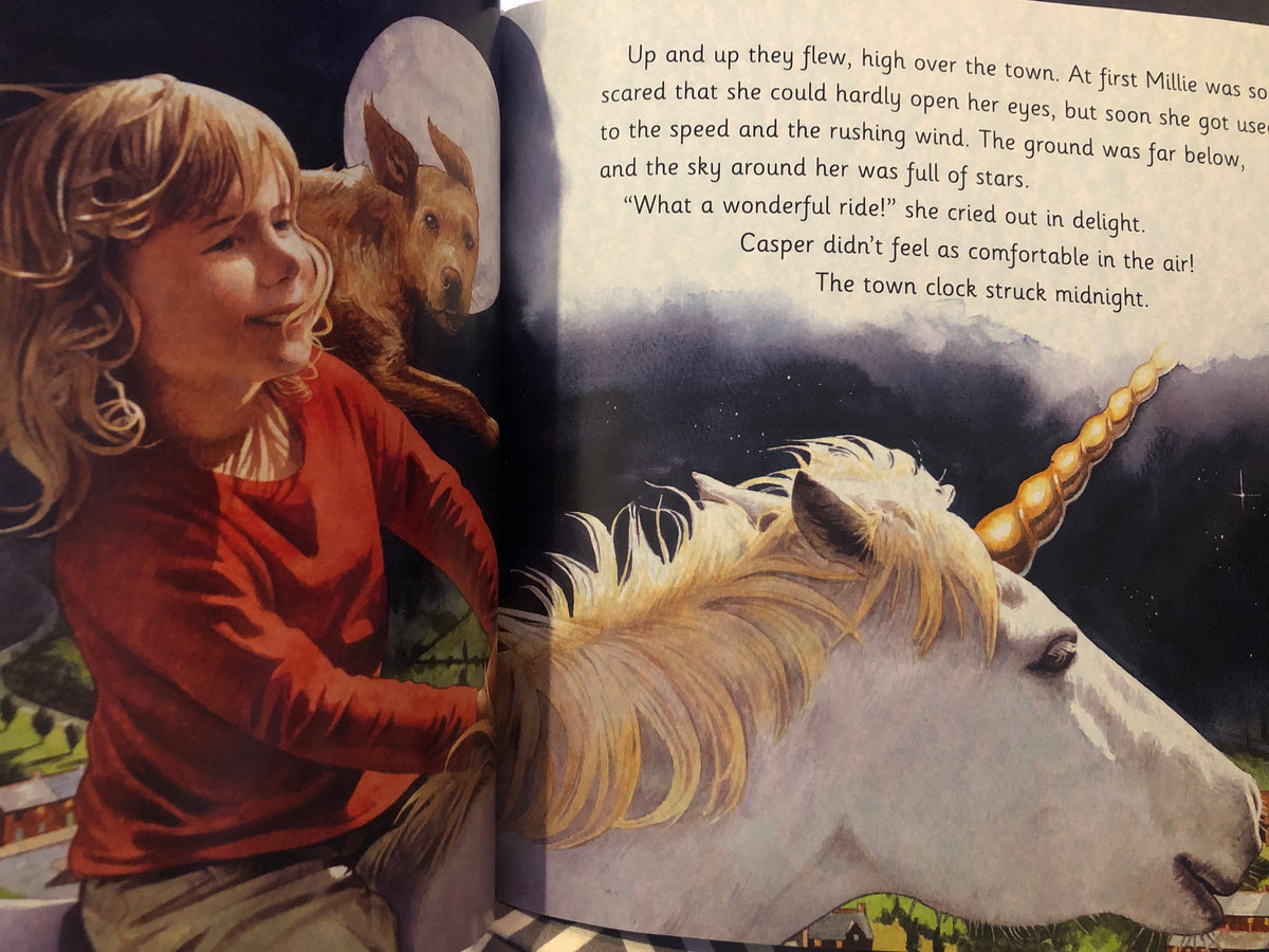 The Midnight Unicorn - Neil Reed – Learning Differently NZ