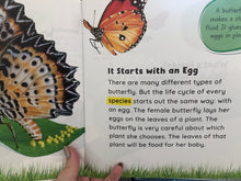 Load image into Gallery viewer, Growing Up - Caterpillar to Butterfly - Stephanie Fitzgerald