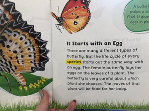Growing Up - Caterpillar to Butterfly - Stephanie Fitzgerald