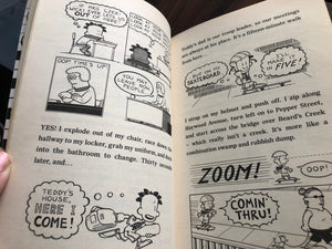 Big Nate - On A Roll by Lincoln Peirce