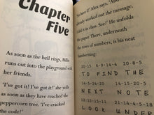 Load image into Gallery viewer, Billie B Mystery Series - Sally Rippin