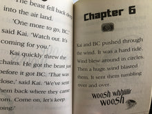 Load image into Gallery viewer, Boy Vs Beast - Tornados by Mac Park