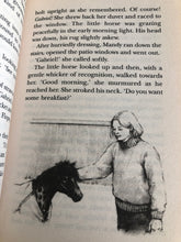 Load image into Gallery viewer, Animal Ark - Pony in the Post &amp; Fox In The Frost by Lucy Daniels (2 Books in 1)