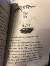 Load image into Gallery viewer, How To Train Your Dragon - The Day of the Dreader by Cressida Cowell