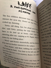 Load image into Gallery viewer, Enid Blyton - The Mystery of the Pantomime Cat