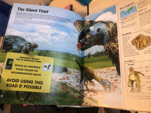 Load image into Gallery viewer, Open book with nature-themed pages featuring animals and a road closure sign.