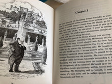 Load image into Gallery viewer, Mr. Dompling's Secret by Diana Robinson