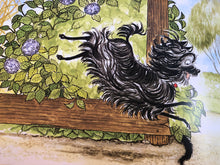 Load image into Gallery viewer, Hairy Maclary's Scattercat by Lynley Dodd (Hard Cover)