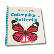 Load image into Gallery viewer, Book titled &#39;Caterpillar to Butterfly&#39; by Scholastic with a butterfly illustration on the cover.
