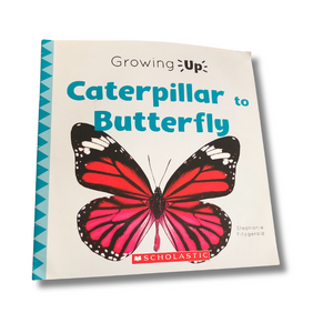 Book titled 'Caterpillar to Butterfly' by Scholastic with a butterfly illustration on the cover.