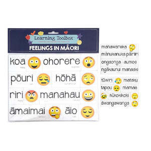 Māori Emotions Magnet Set 35pces