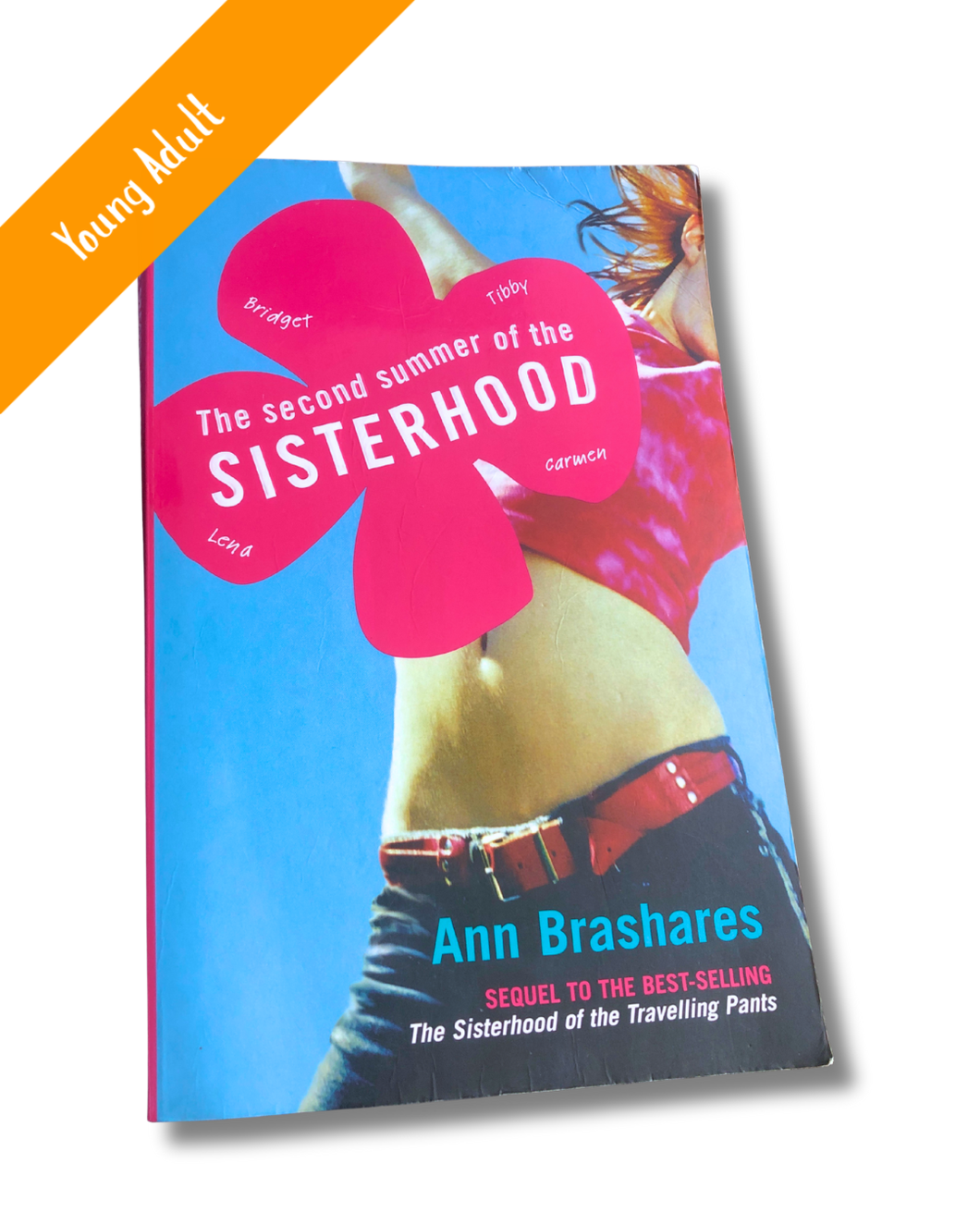 The Second Summer of the Sisterhood by Ann Brashares