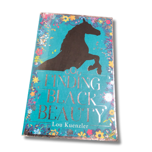 Finding Black Beauty by Lou Kuenzler