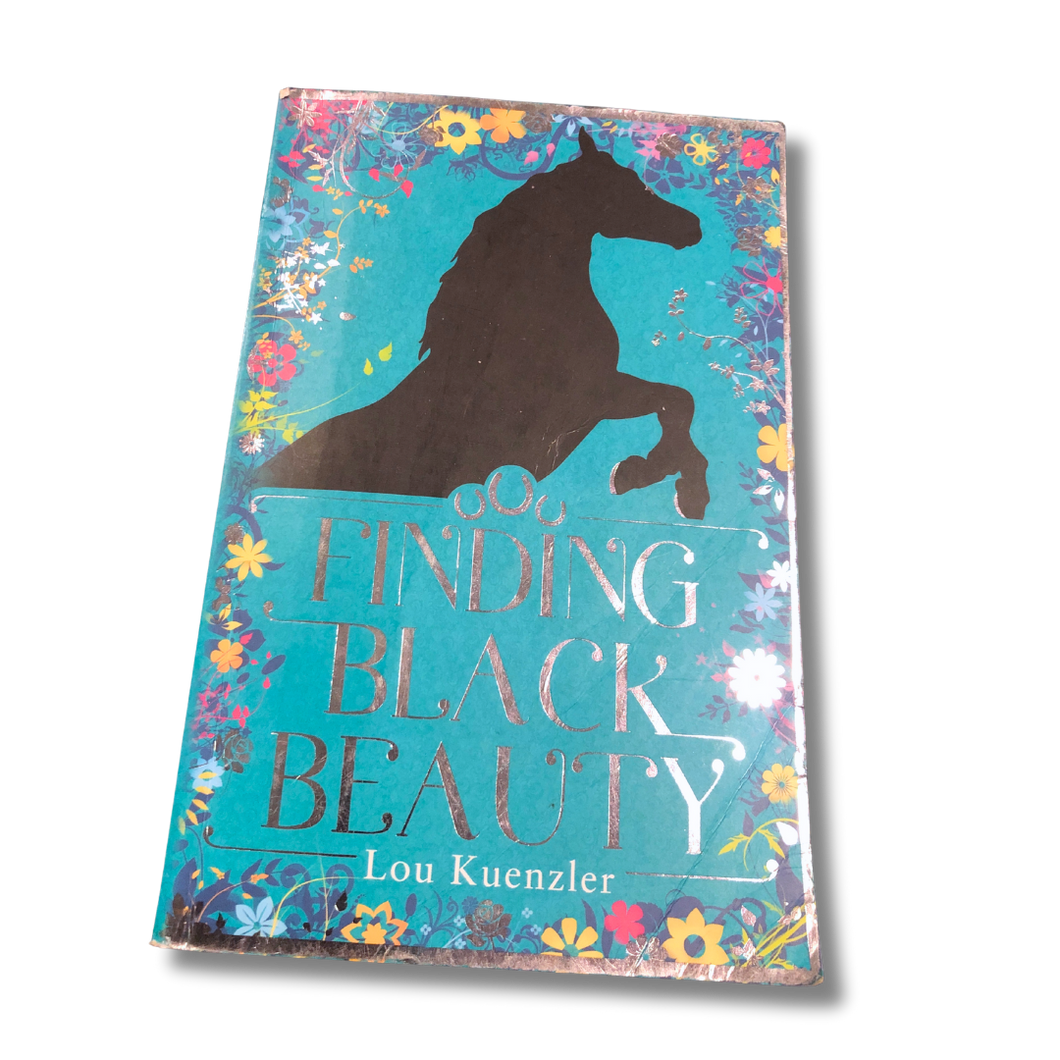 Finding Black Beauty by Lou Kuenzler