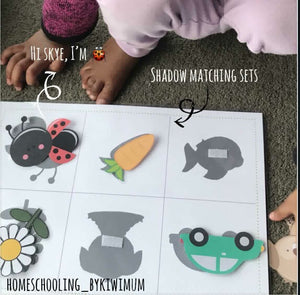 Shadow Matching  - Digital, Printable Activity